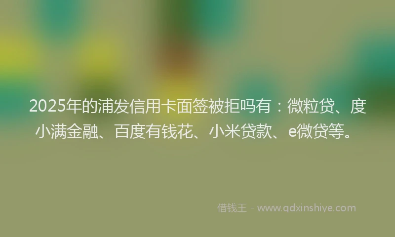 2025年的浦发信用卡面签被拒吗有：微粒贷、度小满金融、百度有钱花、小米贷款、e微贷等。