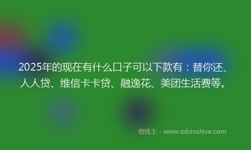 2025年的现在有什么口子可以下款有：替你还、人人贷、维信卡卡贷、融逸花、美团生活费等。