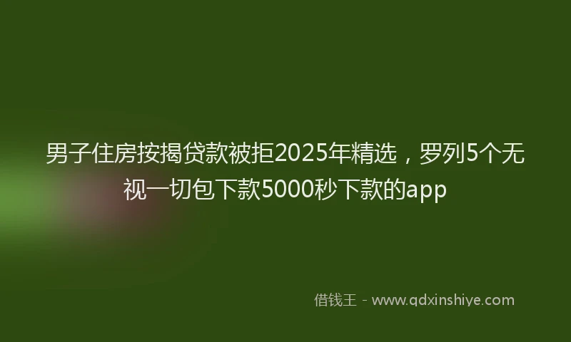 男子住房按揭贷款被拒2025年精选，罗列5个无视一切包下款5000秒下款的app