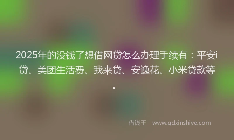 2025年的没钱了想借网贷怎么办理手续有：平安i贷、美团生活费、我来贷、安逸花、小米贷款等。