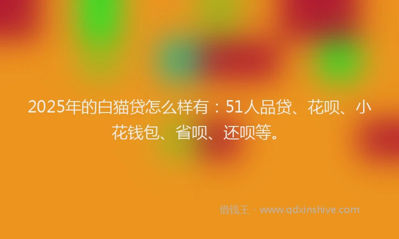 2025年的白猫贷怎么样有：51人品贷、花呗、小花钱包、省呗、还呗等。
