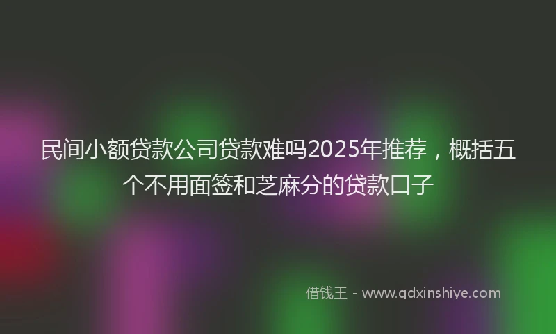 民间小额贷款公司贷款难吗2025年推荐，概括五个不用面签和芝麻分的贷款口子