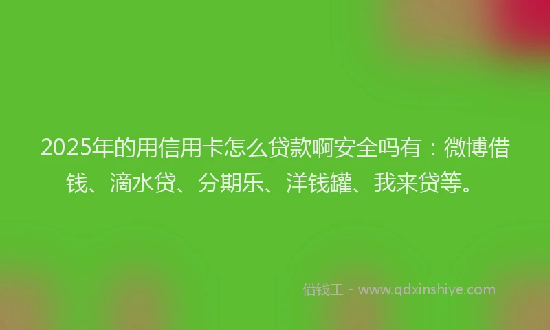 2025年的用信用卡怎么贷款啊安全吗有：微博借钱、滴水贷、分期乐、洋钱罐、我来贷等。