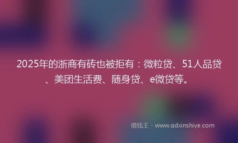 2025年的浙商有砖也被拒有：微粒贷、51人品贷、美团生活费、随身贷、e微贷等。