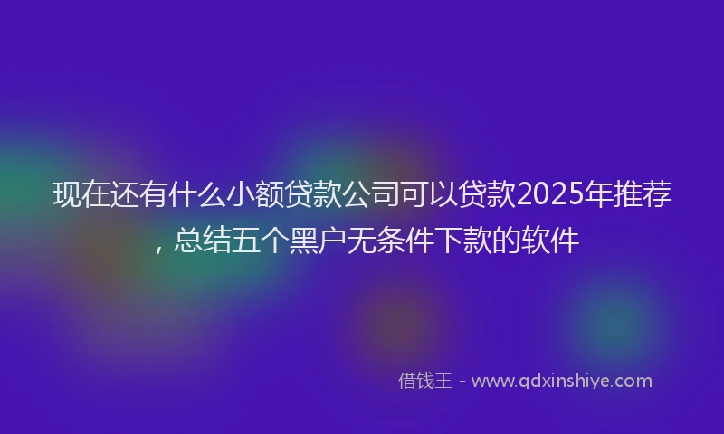 现在还有什么小额贷款公司可以贷款2025年推荐，总结五个黑户无条件下款的软件