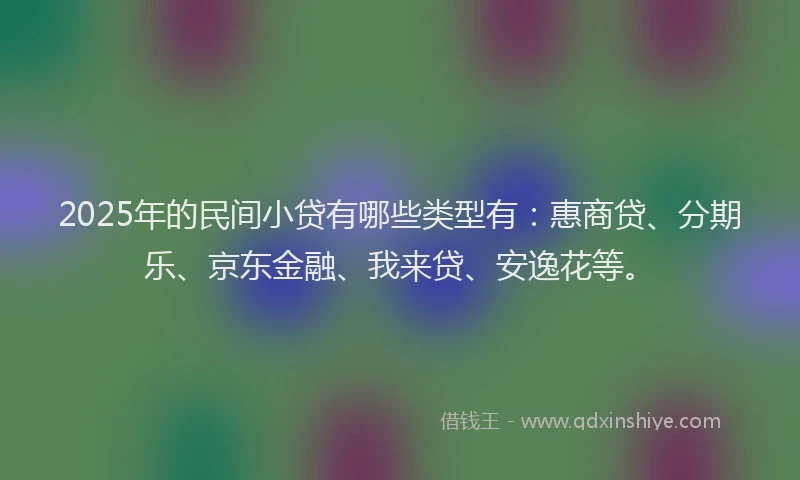 2025年的民间小贷有哪些类型有：惠商贷、分期乐、京东金融、我来贷、安逸花等。
