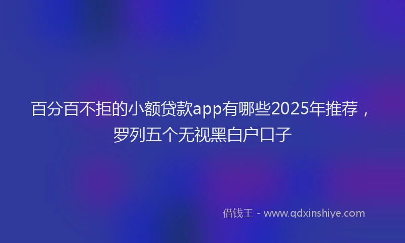 百分百不拒的小额贷款app有哪些2025年推荐，罗列五个无视黑白户口子