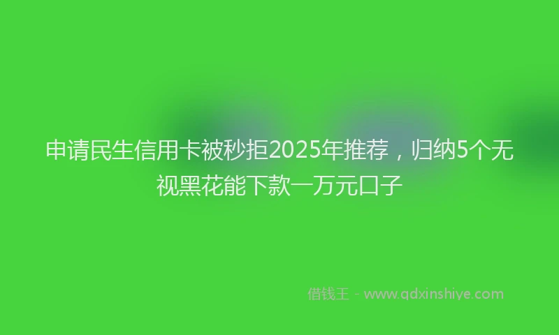 申请民生信用卡被秒拒2025年推荐，归纳5个无视黑花能下款一万元口子