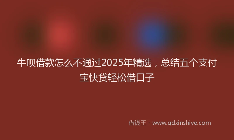 牛呗借款怎么不通过2025年精选，总结五个支付宝快贷轻松借口子