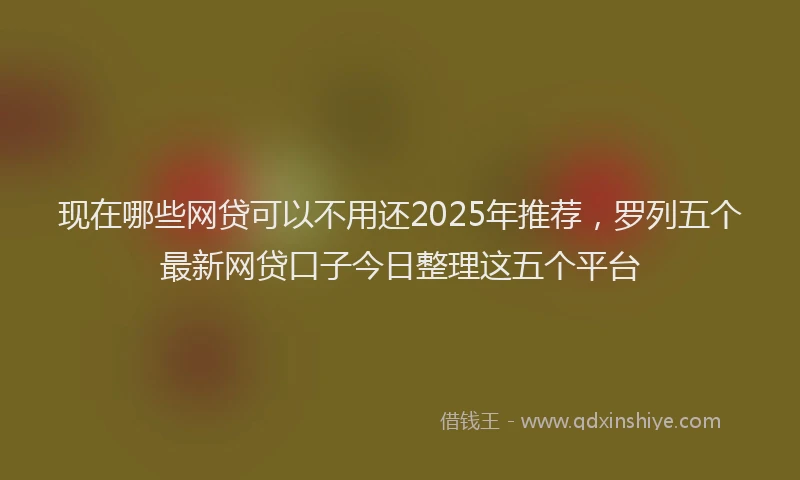 现在哪些网贷可以不用还2025年推荐，罗列五个最新网贷口子今日整理这五个平台