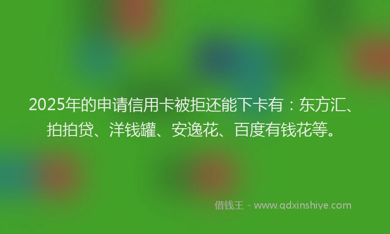 2025年的申请信用卡被拒还能下卡有：东方汇、拍拍贷、洋钱罐、安逸花、百度有钱花等。