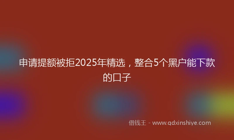 申请提额被拒2025年精选，整合5个黑户能下款的口子