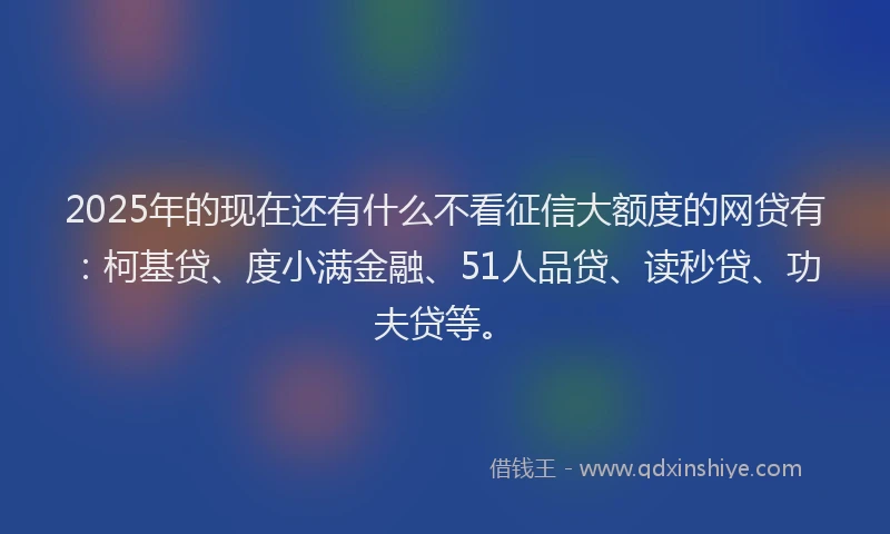 2025年的现在还有什么不看征信大额度的网贷有：柯基贷、度小满金融、51人品贷、读秒贷、功夫贷等。