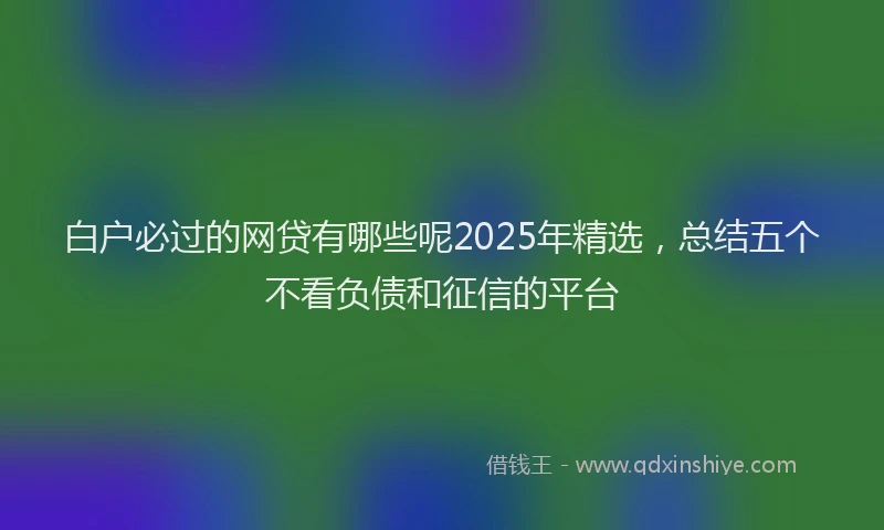 白户必过的网贷有哪些呢2025年精选，总结五个不看负债和征信的平台