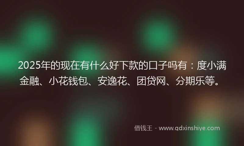 2025年的现在有什么好下款的口子吗有：度小满金融、小花钱包、安逸花、团贷网、分期乐等。
