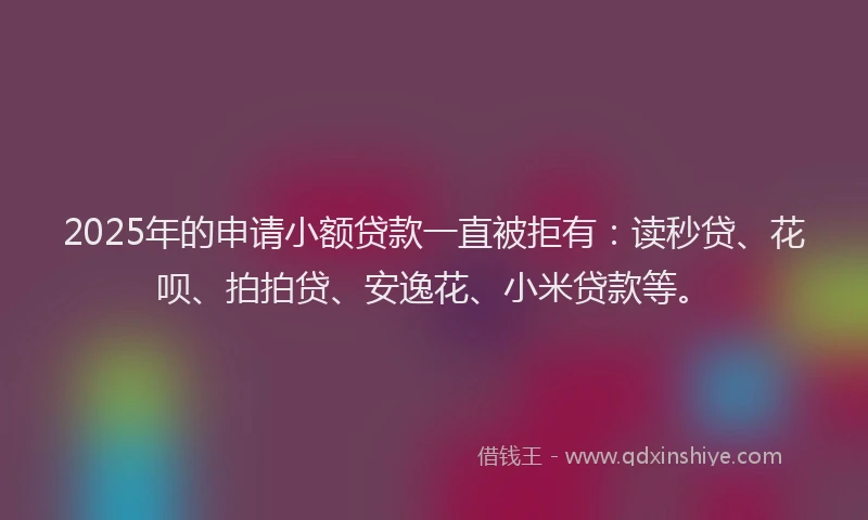 2025年的申请小额贷款一直被拒有：读秒贷、花呗、拍拍贷、安逸花、小米贷款等。
