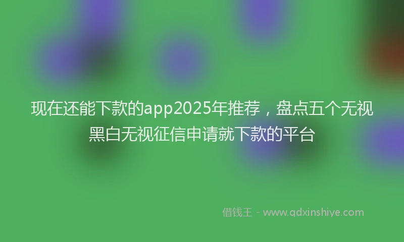 现在还能下款的app2025年推荐，盘点五个无视黑白无视征信申请就下款的平台