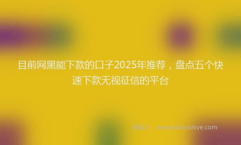 目前网黑能下款的口子2025年推荐，盘点五个快速下款无视征信的平台