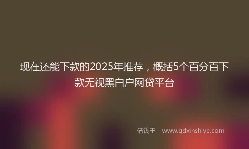 现在还能下款的2025年推荐，概括5个百分百下款无视黑白户网贷平台