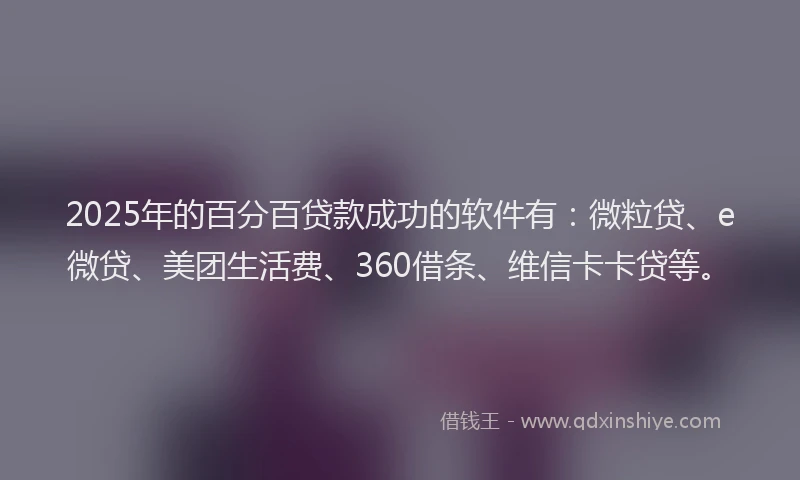 2025年的百分百贷款成功的软件有：微粒贷、e微贷、美团生活费、360借条、维信卡卡贷等。