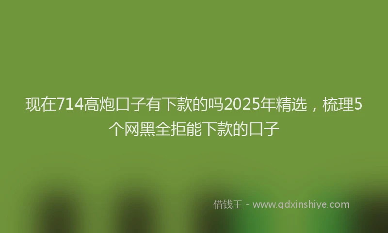 现在714高炮口子有下款的吗2025年精选，梳理5个网黑全拒能下款的口子