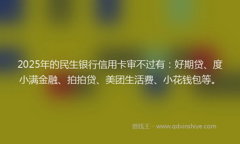 2025年的民生银行信用卡审不过有：好期贷、度小满金融、拍拍贷、美团生活费、小花钱包等。