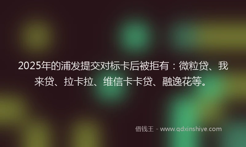 2025年的浦发提交对标卡后被拒有：微粒贷、我来贷、拉卡拉、维信卡卡贷、融逸花等。