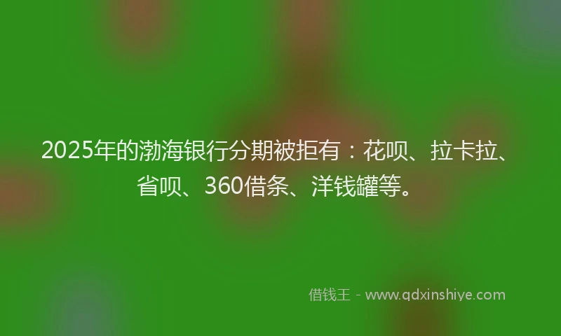 2025年的渤海银行分期被拒有：花呗、拉卡拉、省呗、360借条、洋钱罐等。
