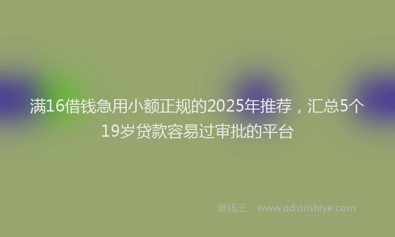满16借钱急用小额正规的2025年推荐，汇总5个19岁贷款容易过审批的平台