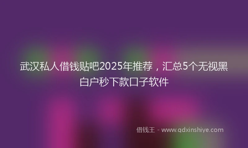 武汉私人借钱贴吧2025年推荐，汇总5个无视黑白户秒下款口子软件