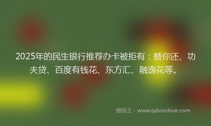 2025年的民生银行推荐办卡被拒有：替你还、功夫贷、百度有钱花、东方汇、融逸花等。