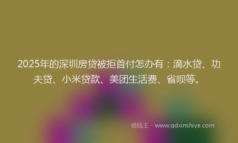 2025年的深圳房贷被拒首付怎办有：滴水贷、功夫贷、小米贷款、美团生活费、省呗等。