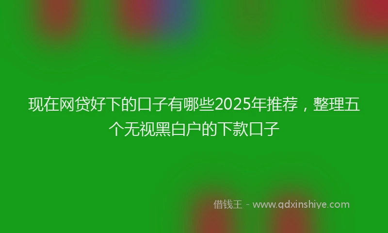 现在网贷好下的口子有哪些2025年推荐，整理五个无视黑白户的下款口子