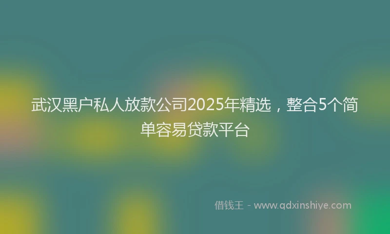 武汉黑户私人放款公司2025年精选，整合5个简单容易贷款平台