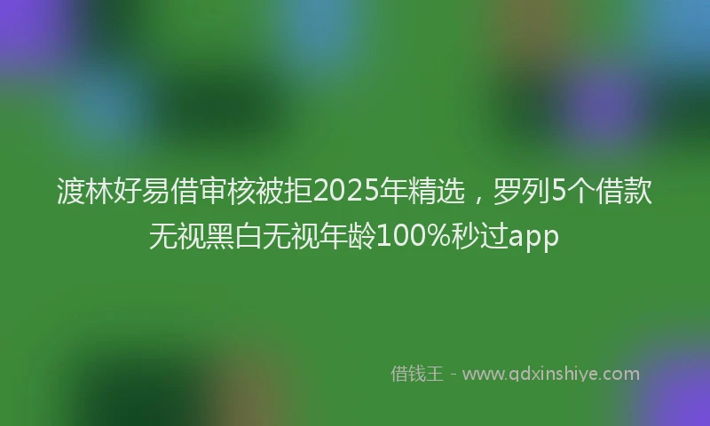 渡林好易借审核被拒2025年精选，罗列5个借款无视黑白无视年龄100%秒过app