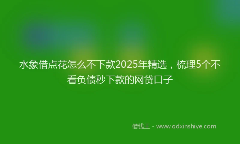 水象借点花怎么不下款2025年精选，梳理5个不看负债秒下款的网贷口子