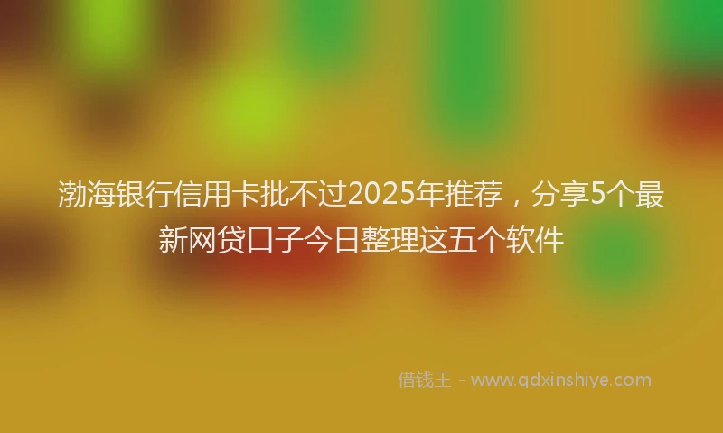 渤海银行信用卡批不过2025年推荐，分享5个最新网贷口子今日整理这五个软件