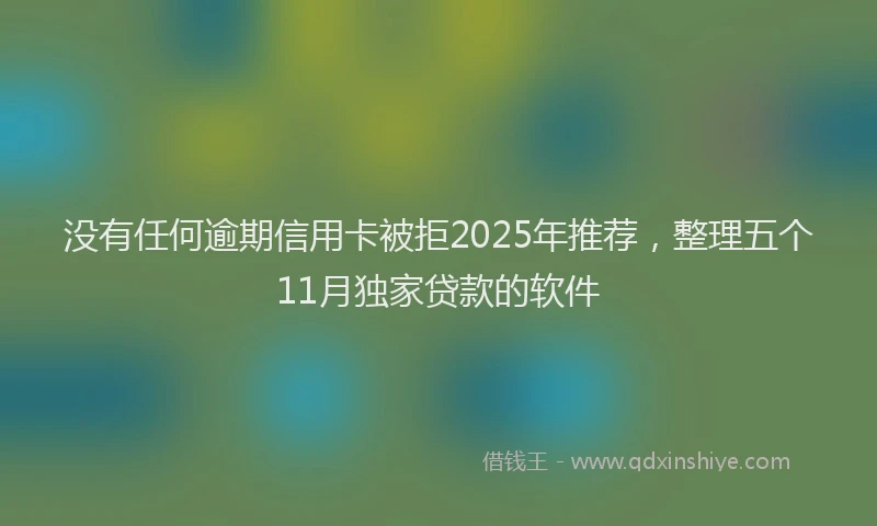 没有任何逾期信用卡被拒2025年推荐，整理五个11月独家贷款的软件