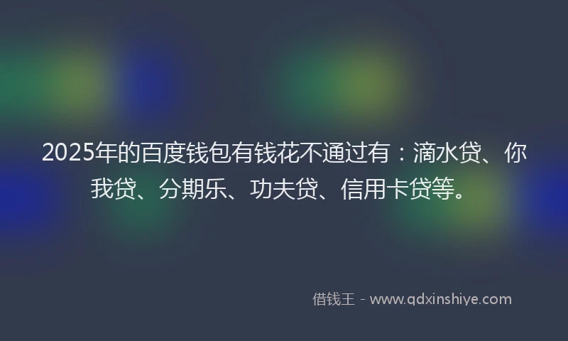 2025年的百度钱包有钱花不通过有：滴水贷、你我贷、分期乐、功夫贷、信用卡贷等。