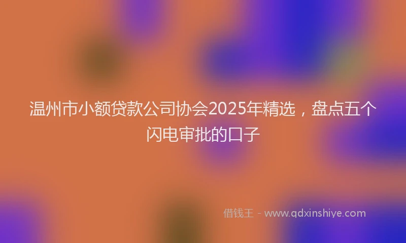 温州市小额贷款公司协会2025年精选，盘点五个闪电审批的口子