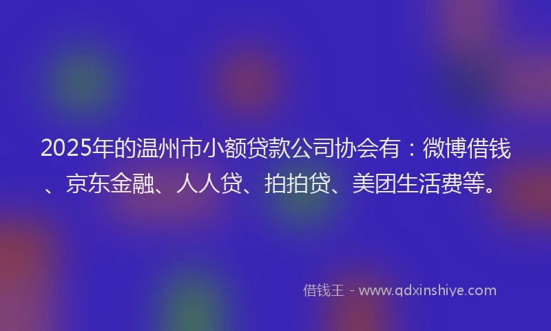 2025年的温州市小额贷款公司协会有：微博借钱、京东金融、人人贷、拍拍贷、美团生活费等。