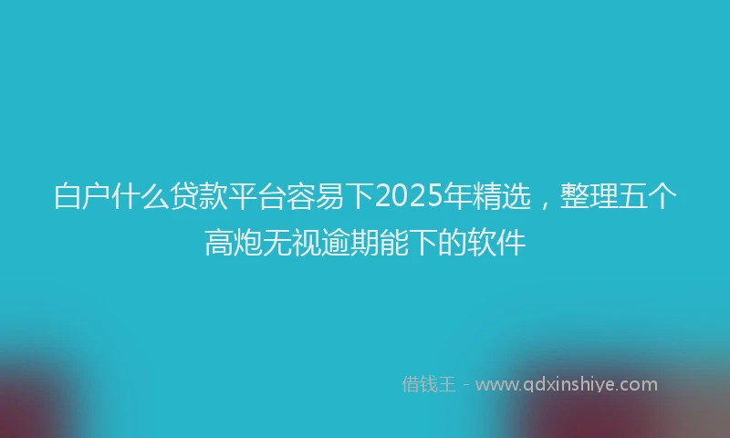 白户什么贷款平台容易下2025年精选，整理五个高炮无视逾期能下的软件