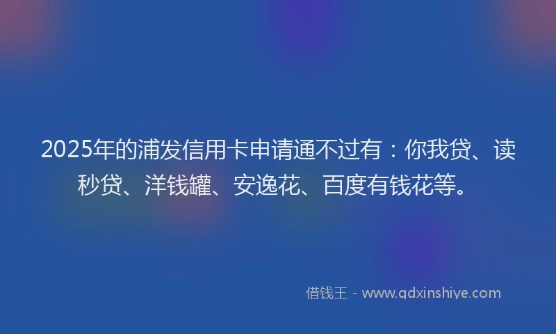 2025年的浦发信用卡申请通不过有：你我贷、读秒贷、洋钱罐、安逸花、百度有钱花等。