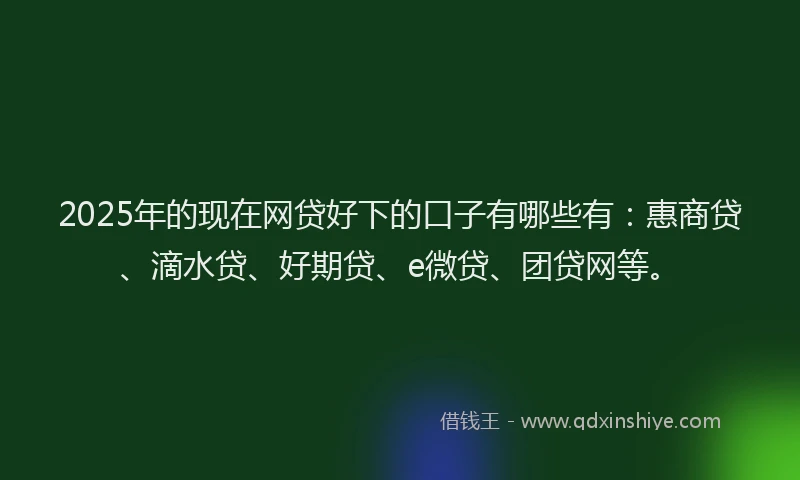 2025年的现在网贷好下的口子有哪些有：惠商贷、滴水贷、好期贷、e微贷、团贷网等。
