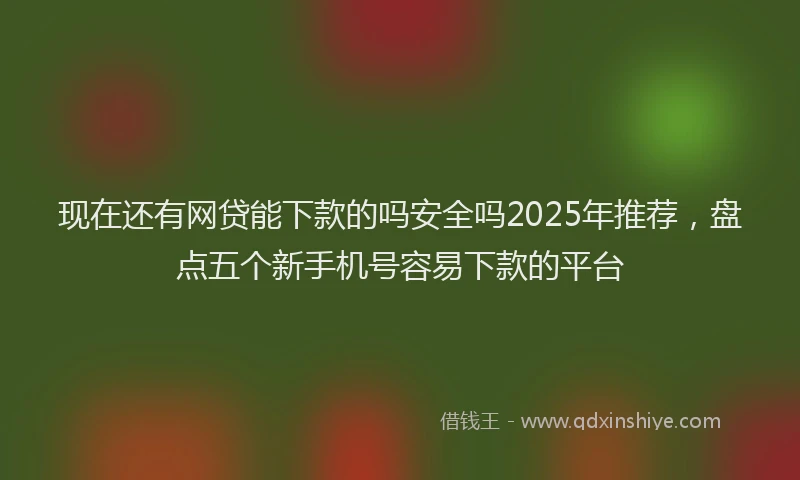 现在还有网贷能下款的吗安全吗2025年推荐，盘点五个新手机号容易下款的平台