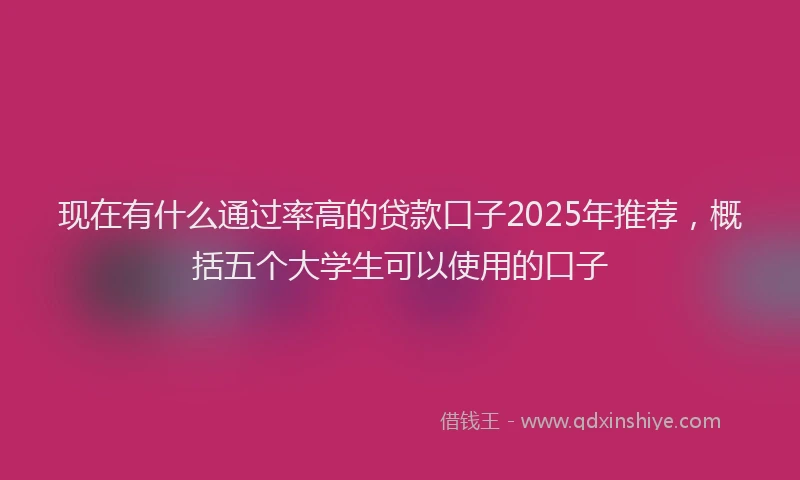 现在有什么通过率高的贷款口子2025年推荐，概括五个大学生可以使用的口子