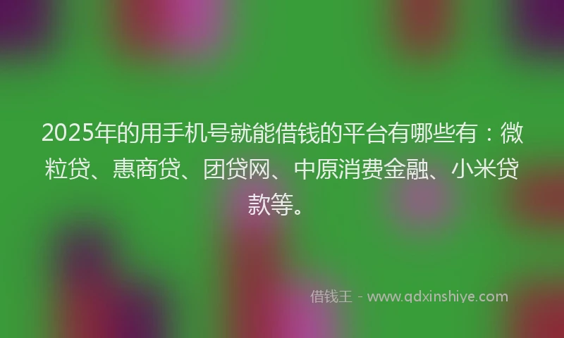2025年的用手机号就能借钱的平台有哪些有：微粒贷、惠商贷、团贷网、中原消费金融、小米贷款等。