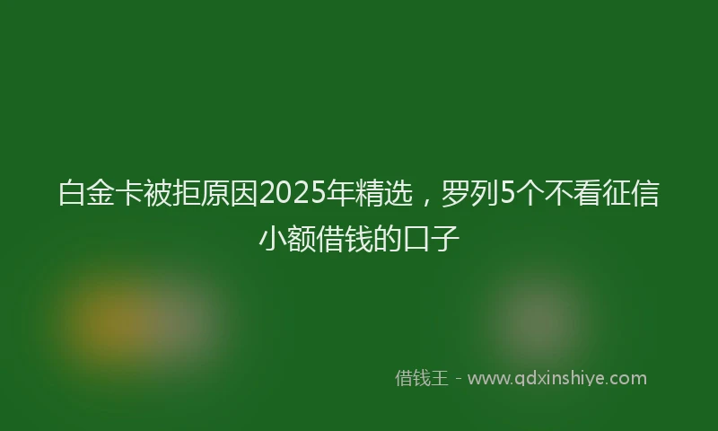 白金卡被拒原因2025年精选，罗列5个不看征信小额借钱的口子
