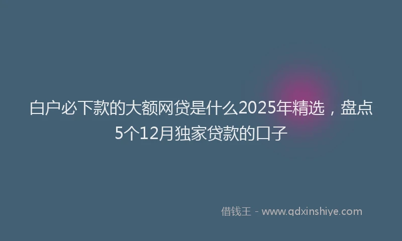 白户必下款的大额网贷是什么2025年精选，盘点5个12月独家贷款的口子
