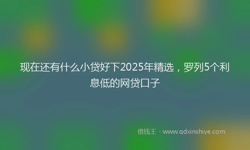 现在还有什么小贷好下2025年精选，罗列5个利息低的网贷口子